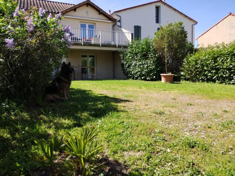 Le Pigeonnier Apartment Millau Exterior photo